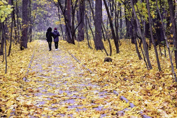 İki tanınmaz kızlardan siluetleri sonbahar parkta yürümek. Mevsim, nostaljik ruh hali, dostluk kavramı — Stok fotoğraf