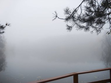 Puslu sabah göl, şafak, renkli orman, iğne yapraklı ağaç dalı, parmaklıklar yaya köprüsü üzerinde gölet sonbahar sahne