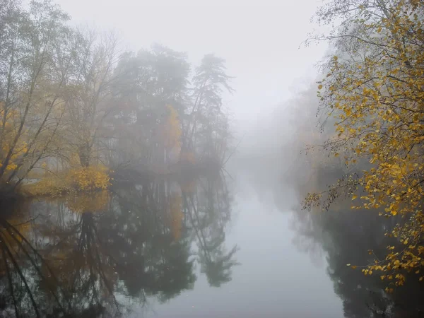 Foggy dawn. Forêt d'automne colorée près du lac, brouillard brumeux le matin, lac à l'aube avec des nuages reflétés dans l'eau calme, épais brouillard dense — Photo