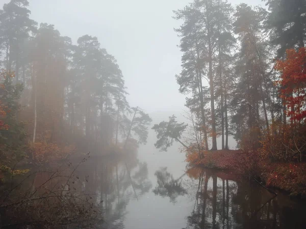 Mistige dageraad, herfst scène in het kleurrijke bos, bladeren onder water van de vijver, ochtend nevel — Stockfoto