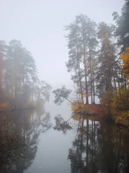 Brouillard matinal près d'un lac avec forêt colorée — Photo