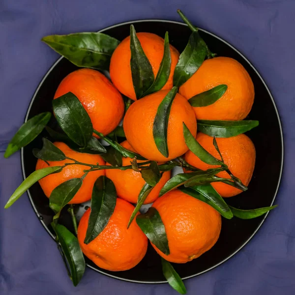 Ripe orange tangerines with green leaves in plate on black , top view. Low key. Concept of healthy nutrition, diet, detox — Stock Photo, Image