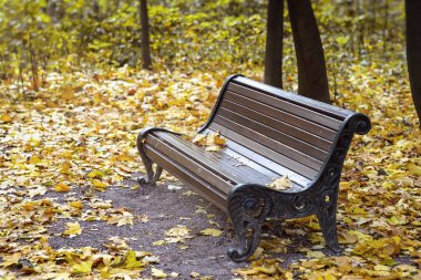 Boş yalnız ahşap kahverengi Bank Şehir Parkı içinde sarı akçaağaç yaprakları. Sonbahar, sonbahar sezonu, üzgün, yalnızlık, gerçek sahne, mevsimlik ruh kavramı