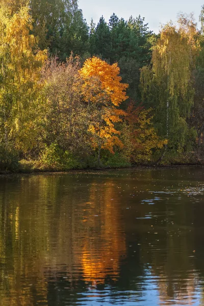 Peisaj de toamnă, frunziș viu colorat de copaci, zi însorită. Reflecția pădurii strălucitoare în apă — Fotografie, imagine de stoc