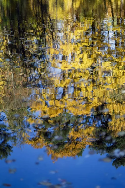Reflet des différents arbres d'automne pittoresques et colorés. Automne, paysage dans le vieux parc. Marche, humeur, concept de nostalgie. Fond vertical naturel — Photo