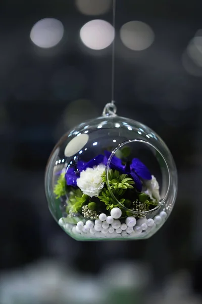 悬挂玻璃球, 气泡与五颜六色的花朵内, 深色背景, 散景, 装饰, 时尚花艺 — 图库照片