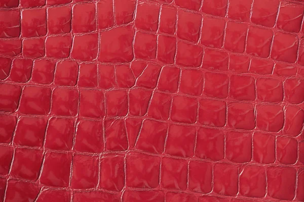 Textura de charol rojo genuino de cerca, grabado bajo el reptil de la piel. Patrón moderno, papel pintado o diseño de banner . —  Fotos de Stock