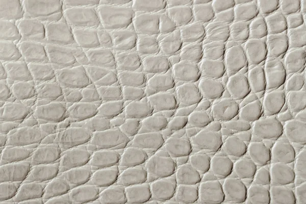 Texture of genuine patent leather close-up, embossed under the skin reptile. For modern pattern, wallpaper or banner design. With place for your text
