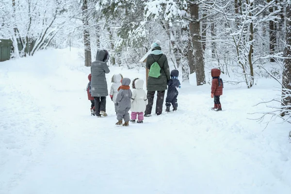 Varios de los niños pequeños irreconocibles con maestros de jardín de infantes, de vuelta a nosotros, caminar tomados de la mano en el parque cubierto de nieve, ocio de invierno, estilos de vida activos — Foto de Stock
