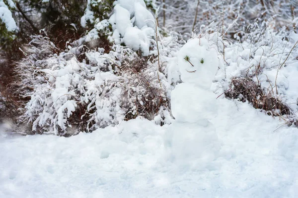 Schneemann im Winterwald an einem kalten Schneetag, Aktivurlaub, gesunder Lebensstil — Stockfoto