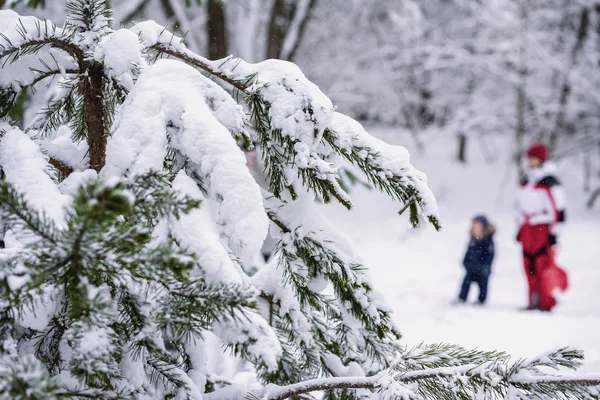 Ramas Bosque Coníferas Cubiertas Nieve Madre Joven Irreconocible Con Niño — Foto de Stock
