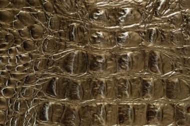 Hakiki deri doku cilt timsah kabartmalı