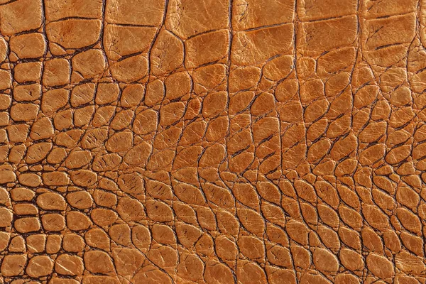 Turuncu kahverengi hakiki deri yakın çekim, kabarık ölçekler sürüngenler, moda trend desen, duvar kağıdı veya afiş tasarım ile doku. Metniniz için yer