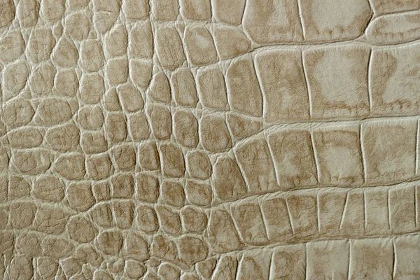 Textura de creme de couro genuíno close-up, gravado sob o réptil da pele, crocodilo. Padrão moderno, papel de parede ou design de banner. Com lugar para o seu texto — Fotografia de Stock