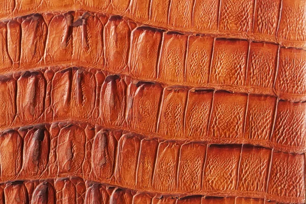 Texture of orange genuine leather close-up, with embossed alligator, fashion trend pattern, wallpaper or banner design Stock Image