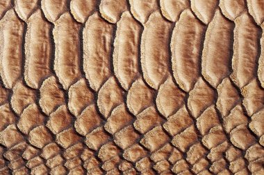 Doku hakiki deriden yakın çekim, desenli deri altında bir sürüngen, timsah, sürüngen kahverengi renk