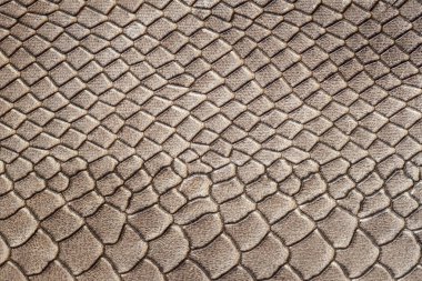 Timsah desenli arka plan soyut. Doku hakiki deriden yakın çekim, desenli deri altında bir sürüngen