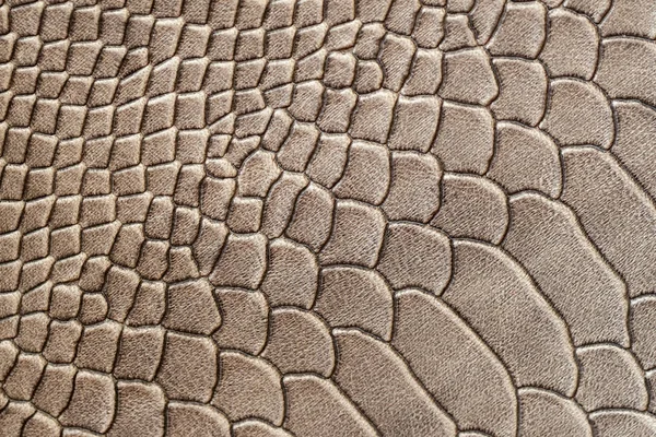 Print of genuine leather close-up, embossed under the skin a reptile, alligator, reptile, trendy print — Stock Photo, Image