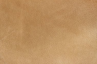 Texture of genuine leather close-up, beyge brown color print. For your background, backdrop, copy space clipart