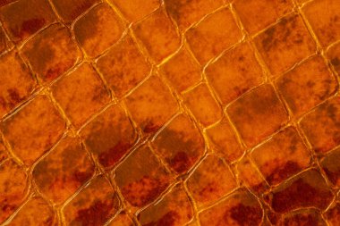 Orijinal patent deri yakın çekim doku, deri altında kabartmakahverengi bir sürüngen. Modern desen, duvar kağıdı veya afiş tasarımı için. Metniniz için yer