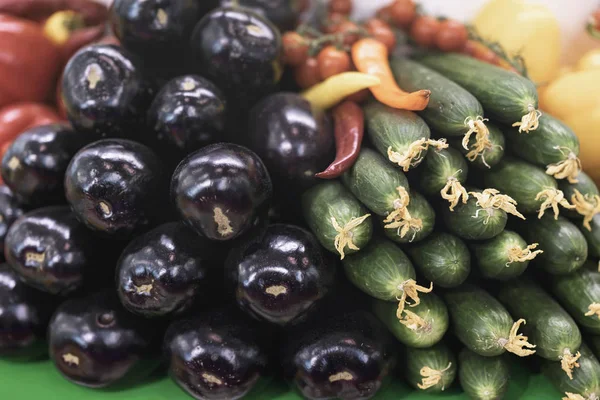 Farmers market counter with fresh organic eggplants, cucumber and chilli pepper, vegetables closeup, heap of live vitamins, selectiv focus. Вегетарианская еда — стоковое фото