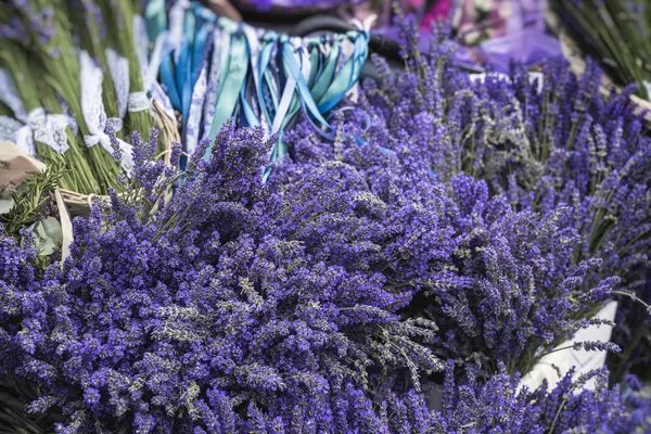 Lavender bunches in provincial flower market, herbal background, texture — Stock Photo, Image