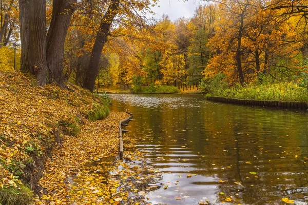 Schilderachtig herfstlandschap, bos en rivier, kleurrijk groen van bomen, zonnige dag — Stockfoto