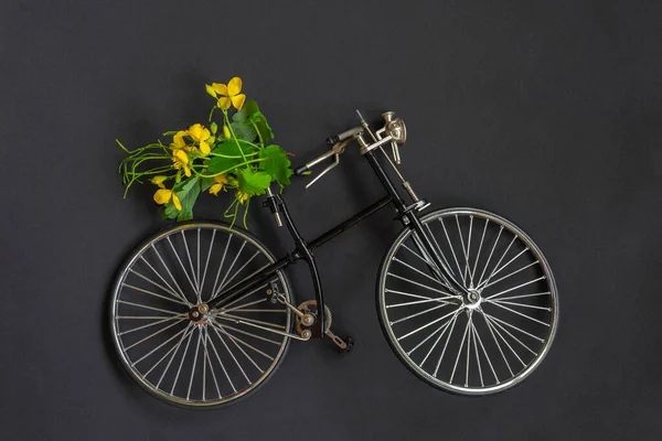 Vélo Miniature Avec Bouquet Fleurs Jaunes Été Sur Fond Noir — Photo