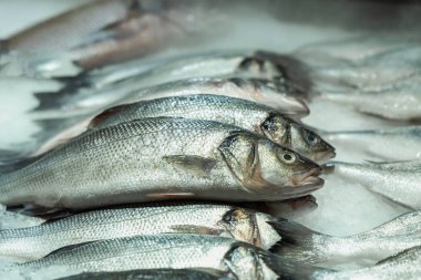 Buzlu taze balık yakın plan. Çiftçi pazarında satış, süpermarkette tezgah. Deniz ürünleri pazarının açık vitrinleri