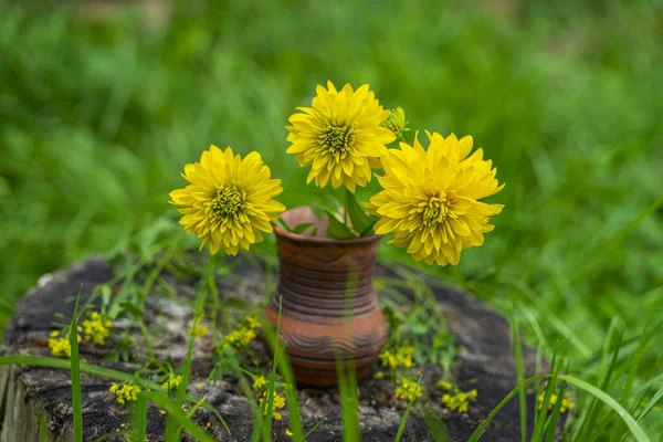 Buquê de flores amarelas fechar em vaso de cerâmica, grama verde, velho toco de árvore, vida morta rústica, conceito de campo — Fotografia de Stock