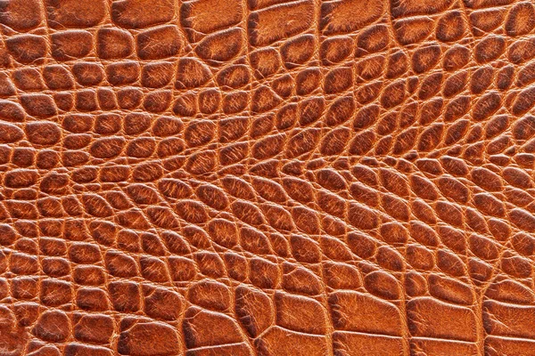 Texture Cuir Véritable Gros Plan Couleur Marron Gaufré Sous Peau — Photo