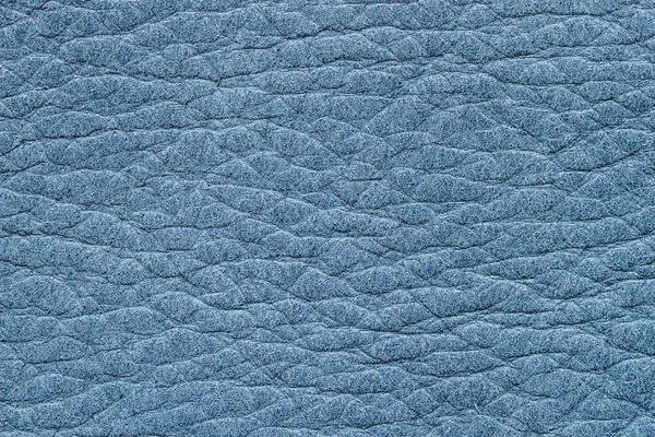 Texture Cuir Véritable Gros Plan Imprimé Bleu Pour Votre Arrière — Photo