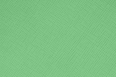 Yumuşak ızgara desenli ve temiz yüzeyi olan parlak nane yeşili bir doku. Tazelik anlayışı, neşeli bir ton, canlı bir basitlik. Doğal arkaplan