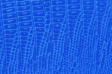 Derin pulları ve parlak yüzeyi olan koyu mavi sahte sürüngen dokusu. Egzotik zarafet kavramı, fütüristik moda, öne çıkan doku.