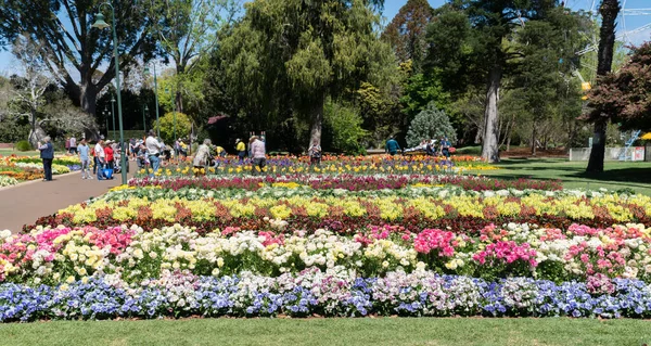 Toowoomba Australien September 2018 Besökare Som Njuter Den Vackra Blomsterträdgården Royaltyfria Stockfoton