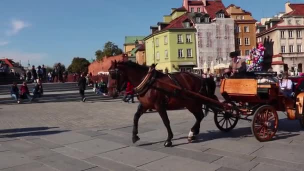 Garantia Polónia Carruagem Cavalo Histórico Turístico Centro Cidade Velha — Vídeo de Stock