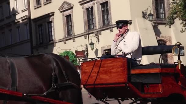 Warsaw Poland Tourist Historic Horse Carriage Old City Center — Wideo stockowe