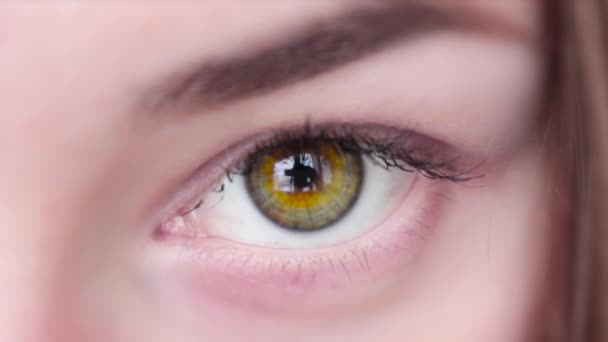 Ojos Verdes Con Reflejo Página Web Chica Desplazándose Por Sitio — Vídeos de Stock