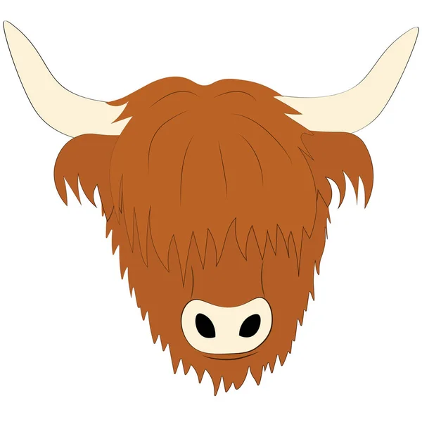 Highlandské plemeno-skotská kráva — Stockový vektor
