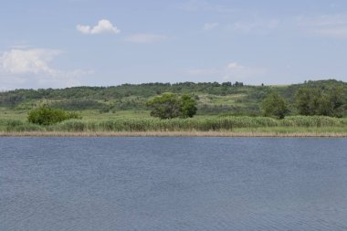 Güneşli bir günde göl