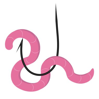 bir kanca üzerinde pembe solucan