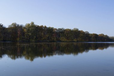 Nehir ve ormanın sonbahar manzarası