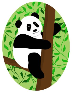 Panda bir ağaç dalında oturuyor.