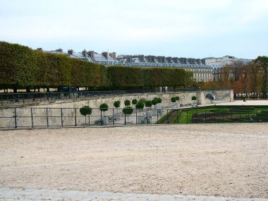 Sonbaharda Paris 'teki Tuileries Parkı. Arka planda Rivoli Caddesi 'ndeki binalar var..
