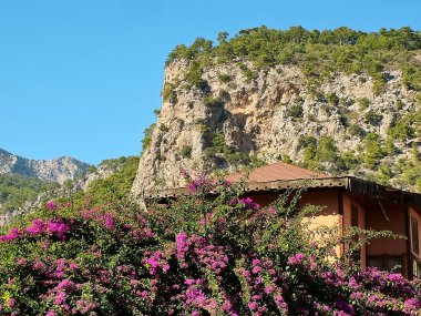 Çiçek çalısı, ev, dağ. Akdeniz 'de güneşli bir gün.