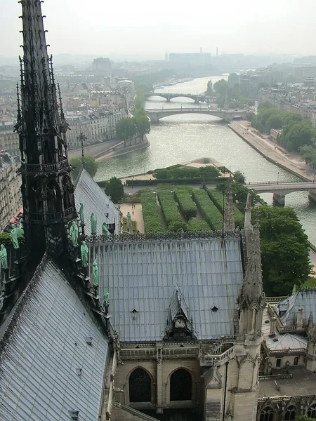 Vista Topo Parte Trás Notre Dame Paris Com Pináculo Figuras — Fotografia de Stock