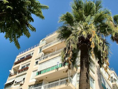 Kar beyazı bir binanın arka planında palmiye ağaçları ve açık mavi bir gökyüzü.