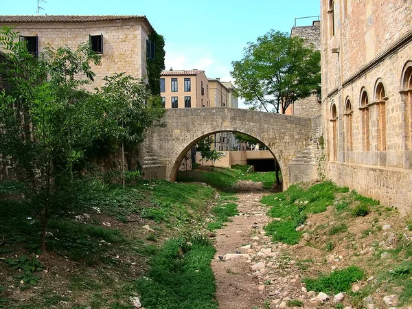 Száraz Folyómeder Katalán Girona Ókori Területén Spanyolországban — Stock Fotó