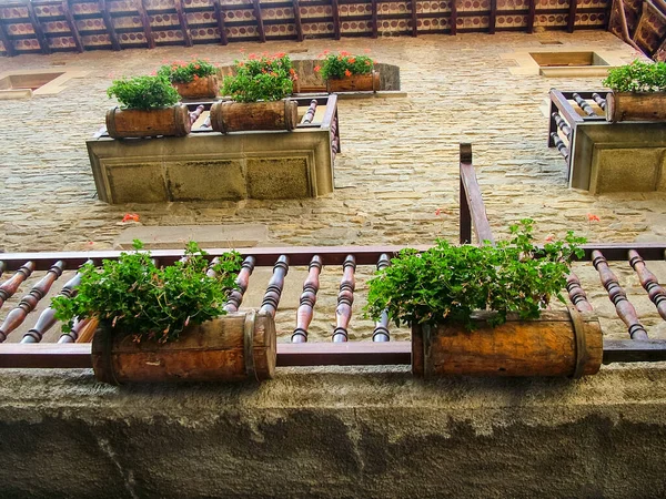 Цветы Старых Уличных Стенах Средневекового Города Рупит Каталонии Испания — стоковое фото