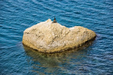 Kırım 'da Karadeniz' de iki karabatak bulunan resif